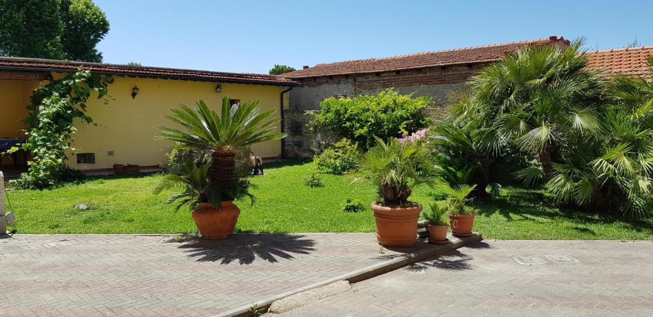 Villa Il Lauro Піза Екстер'єр фото